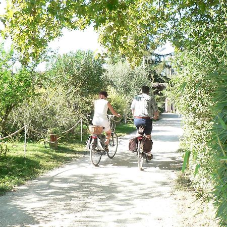 International Glamping Lago Di Bracciano トレヴィニャーノ・ロマーノ エクステリア 写真