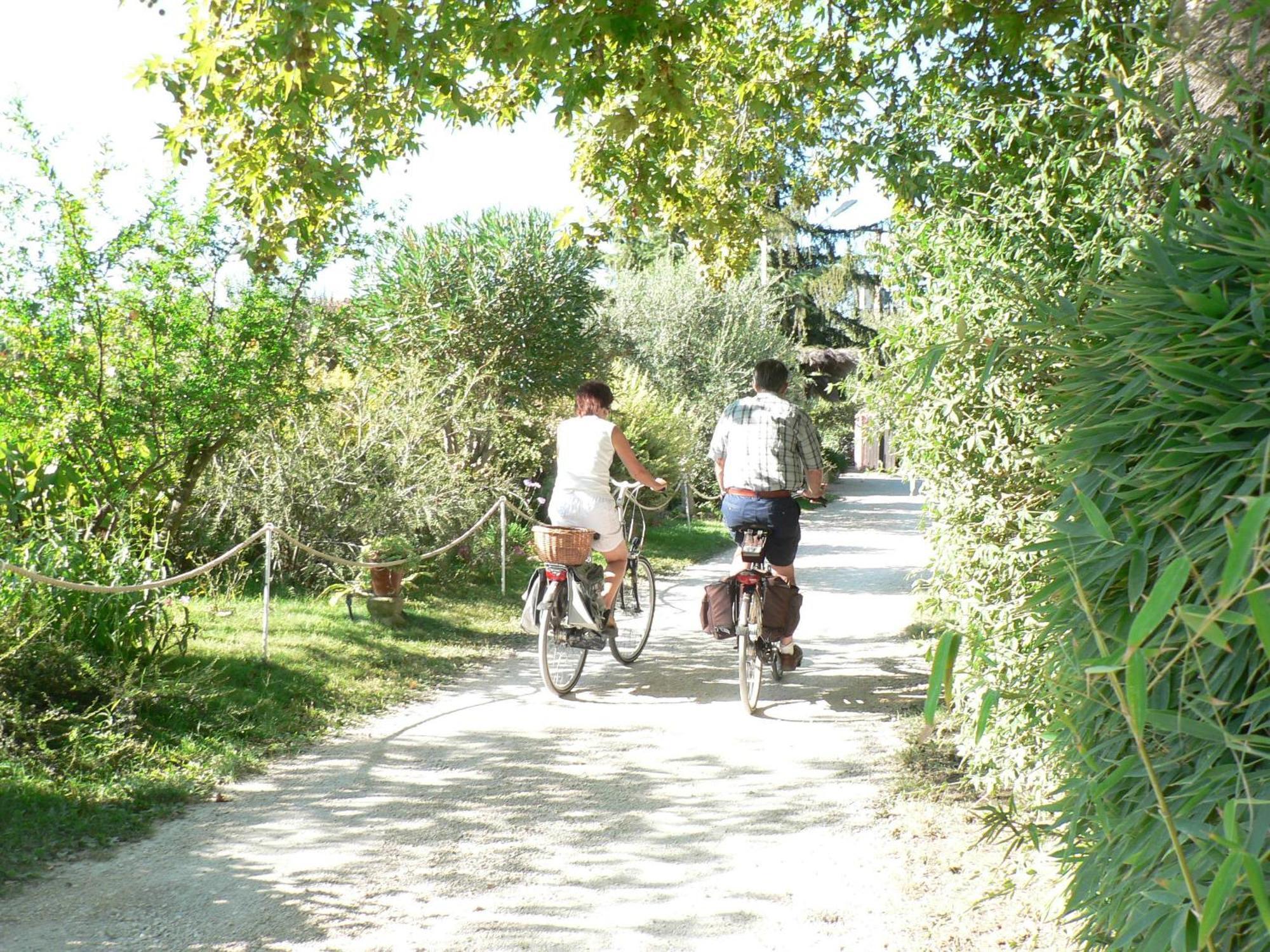 International Glamping Lago Di Bracciano トレヴィニャーノ・ロマーノ エクステリア 写真