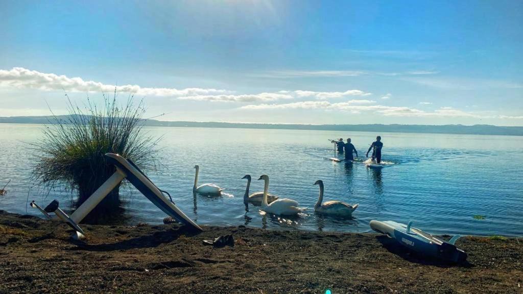 International Glamping Lago Di Bracciano トレヴィニャーノ・ロマーノ エクステリア 写真