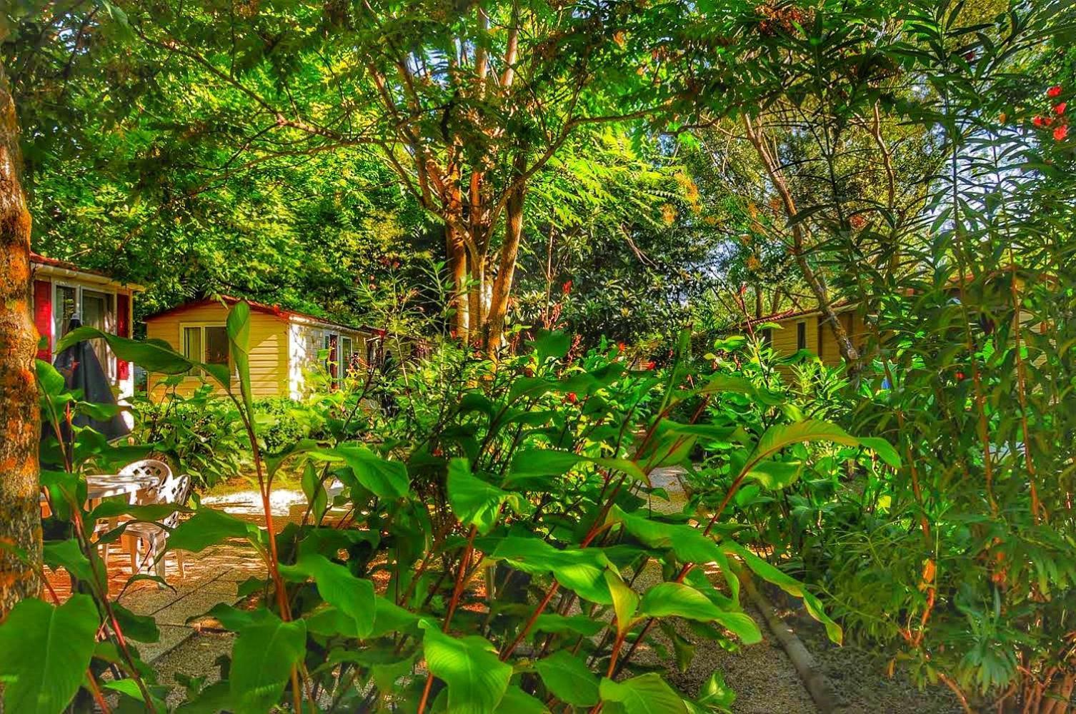 International Glamping Lago Di Bracciano トレヴィニャーノ・ロマーノ エクステリア 写真
