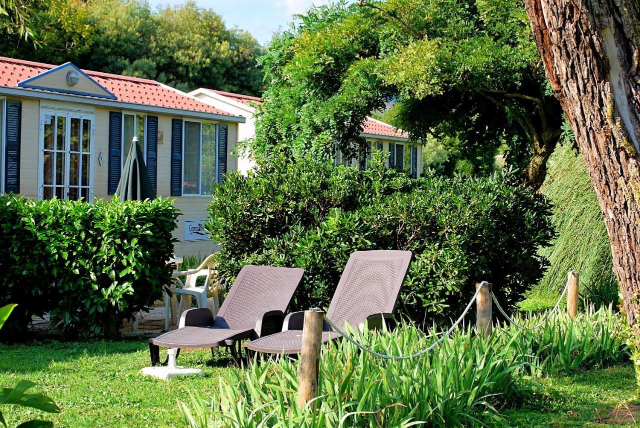 International Glamping Lago Di Bracciano トレヴィニャーノ・ロマーノ エクステリア 写真