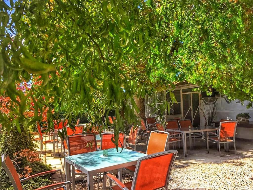 International Glamping Lago Di Bracciano トレヴィニャーノ・ロマーノ エクステリア 写真
